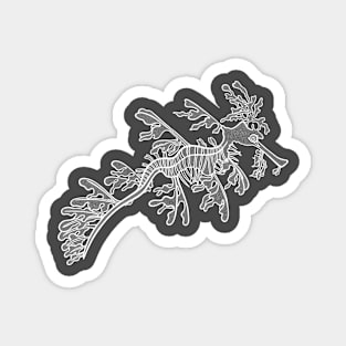 Leafy Seadragon - super cute detailed seadragon drawing Magnet