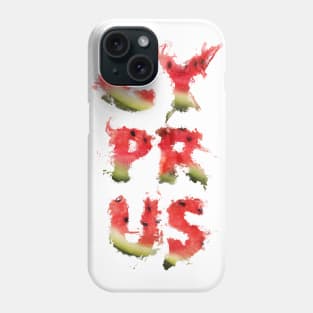 Summer is Cyprus Phone Case