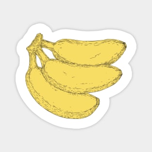 Banana Magnet