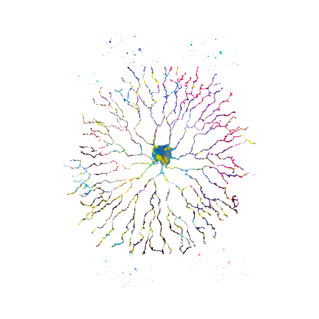 Starburst neuron by erzebeth