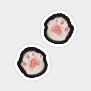 Pink Fluffy Cat Cute Paws Magnet