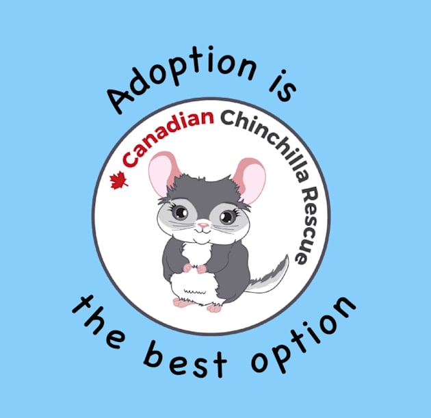 Adoption Kids T-Shirt by canchinrescue