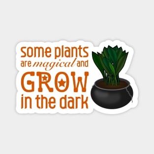 Grows in the dark! Cast iron plant aspidistra Magnet