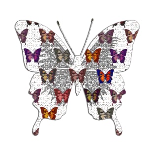 Butterflies Variation 05 T-Shirt