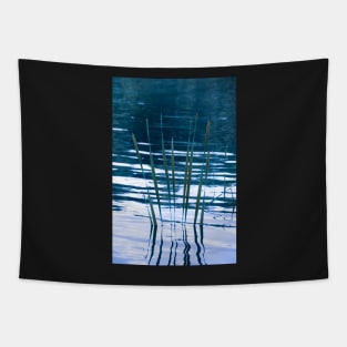 Water reflections Tapestry