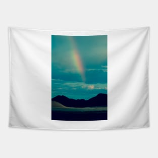 Flash of Rainbow Tapestry