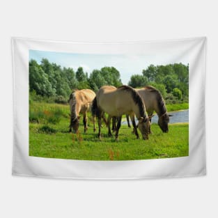 Wild konik horses Tapestry