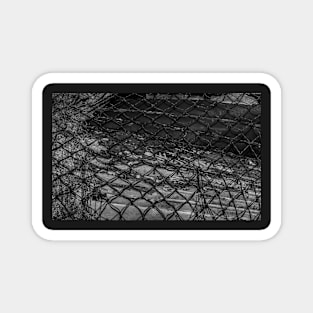 Fishing-Net Covered Boat Magnet