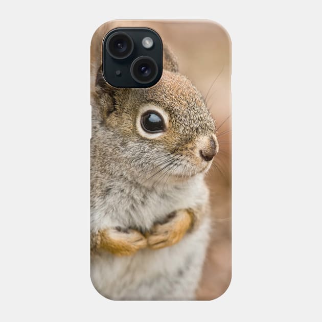 Red Squirrel Phone Case by jaydee1400