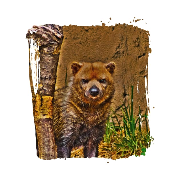 Bush Dog by Bethany-Bailey