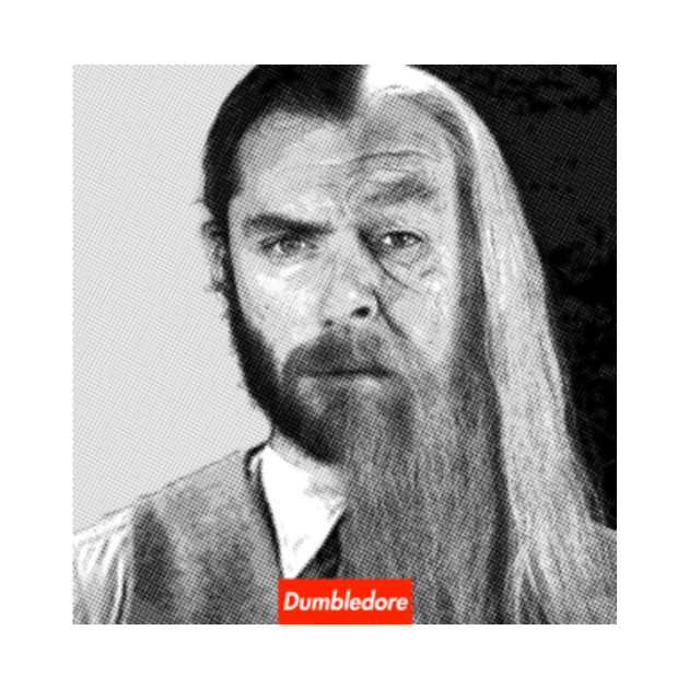 DUMBLEDORE Fantastic Beasts TShirt TeePublic
