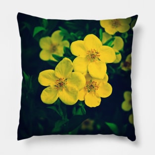 Yellow Potentilla Blossoms Pillow