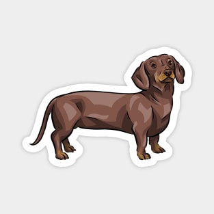 Chocolate and Tan Dachshund Dog Magnet