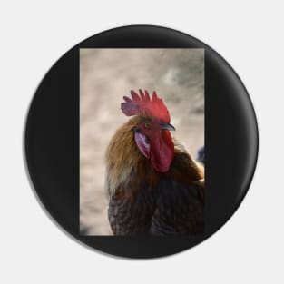 Rooster Pin