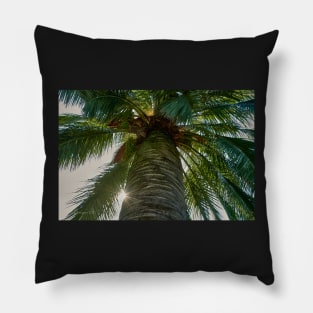 Palm Pillow