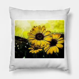 Sunflowers - Abstract Pillow