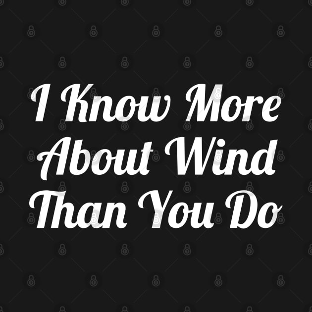 I Know More About Wind Than You Do by evokearo