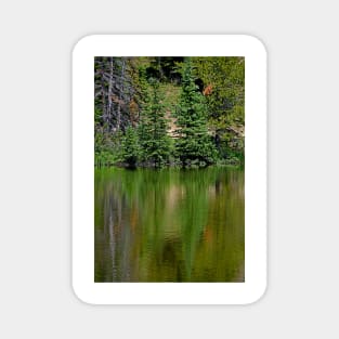 Lake Irene 2018 Study 7 Magnet