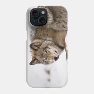 Gray Wolf Phone Case