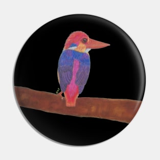 Oriental dwarf kingfisher Pin