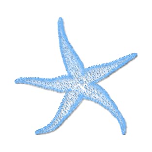 Starfish, Blue T-Shirt