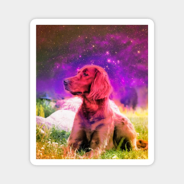 Cute Irish Setter Dog In Space Magnet by Random Galaxy