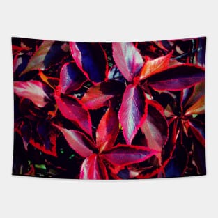 Fiery leaves Tapestry