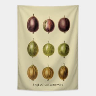 English Gooseberries Tapestry