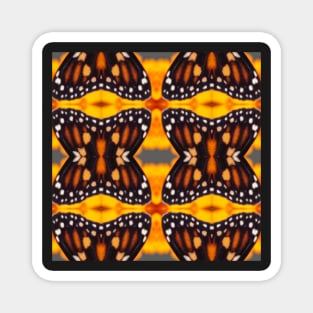 Orange and Black Monarch Butterfly Pattern 11 Magnet