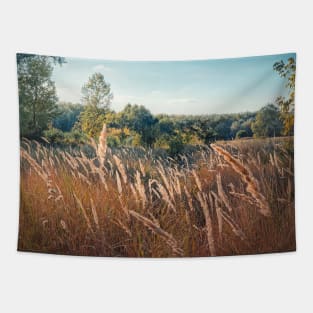 foxtail reed swaying in the wind Tapestry