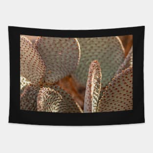 Beavertail Cactus Tapestry