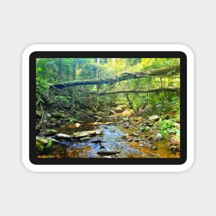 Riverbed Mountain Stream Magnet