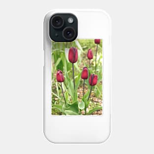 Red Tulips Phone Case