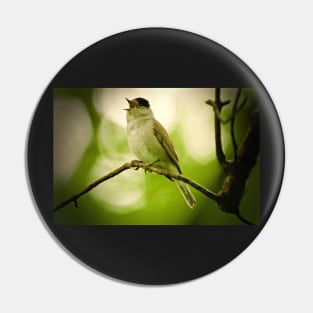 THE WOODLAND WARBLER Pin