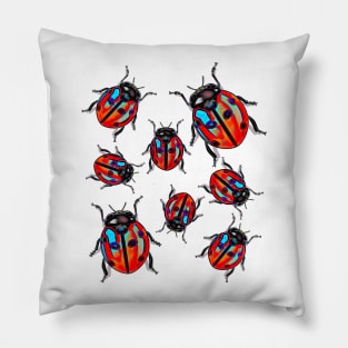 Lady Bug Luck Pillow