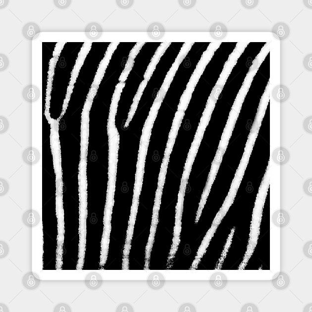 Zebra Print Magnet by BlakCircleGirl