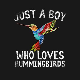 Just A Boy Who Loves Hummingbirds T-Shirt