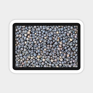 Black Pepper Corns Magnet