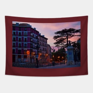 Spain. Madrid in Pink. Tapestry