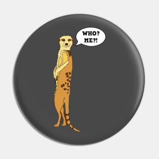 MEERKAT ANIMAL SAVANA SAVANNAS DESERT WHO? ME? KIDS Pin