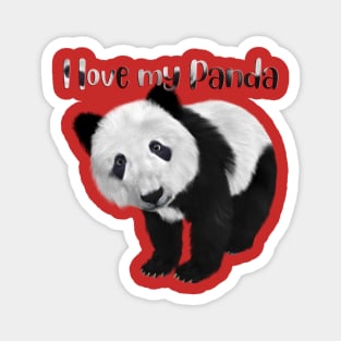 I love my panda Magnet