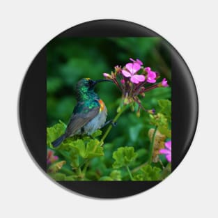 Geranium Sunbird Pin