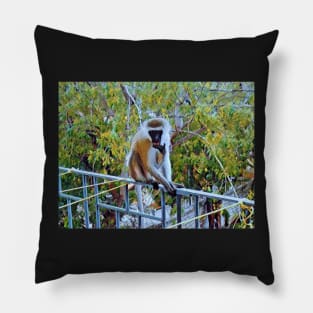 Cute Monkey Pillow