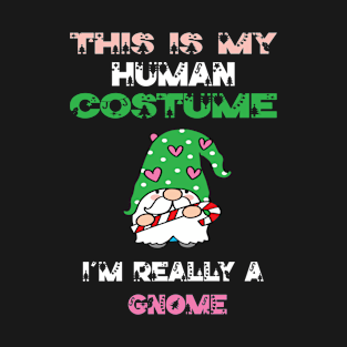 This Is My Human Costume I'm Really A Gnome Lover Christmas Gift Idea Gnome Cartoon T-Shirt