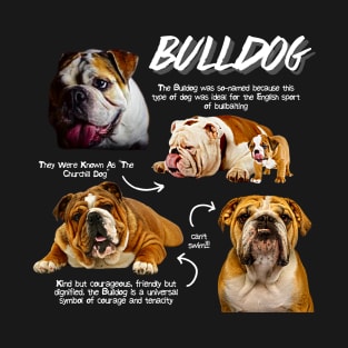 Bulldig Fun Facts T-Shirt