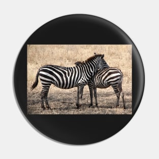 Plains Zebra, Serengeti National Park, Tanzania Pin