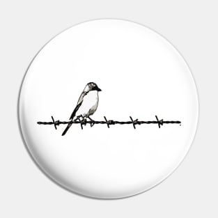 Minimalist Bird On Barbed Wire Black and White Illustration Pin