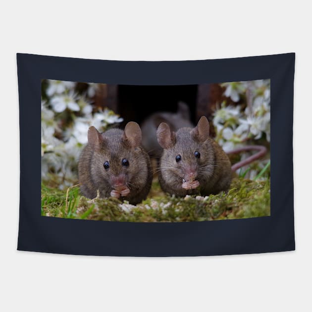 Two mice Tapestry by Simon-dell