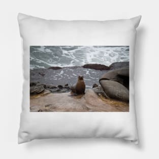 Sea Lion Love Pillow