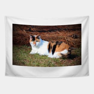 Calico Beauty Tapestry